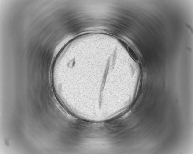 X0000101471196200808041058