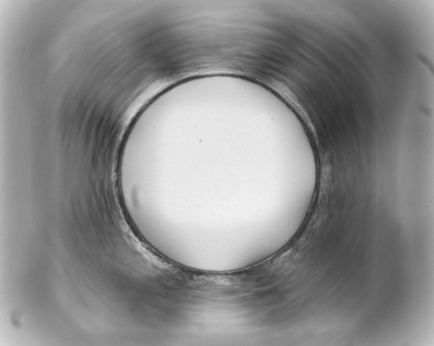 X0000101471197200808041058