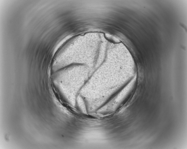 X0000101471198200808041058