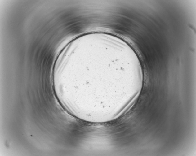 X0000101471199200808041058