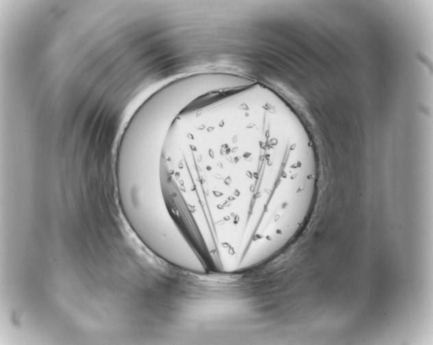 X0000101471200200808041058