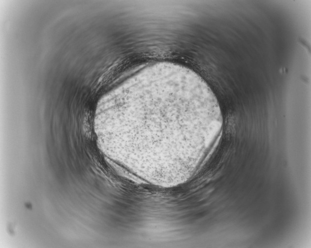 X0000101471202200808041057