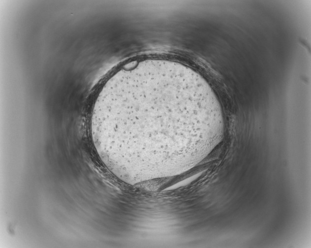 X0000101471208200808041057