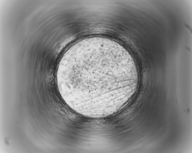 X0000101471210200808041057