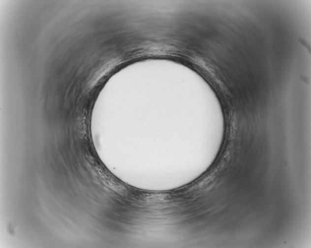 X0000101471211200808041057