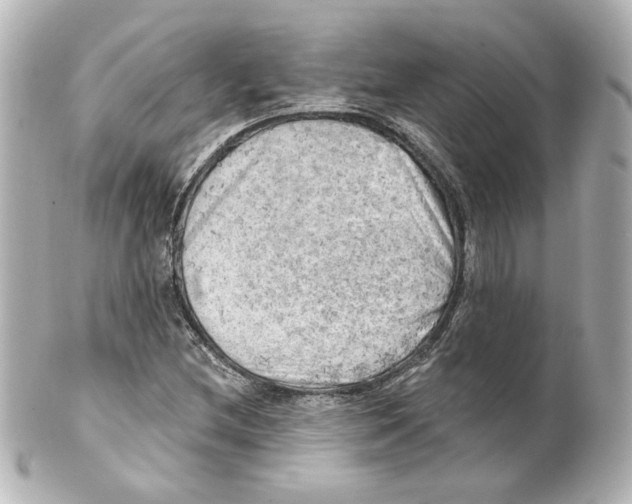 X0000101471212200808041057