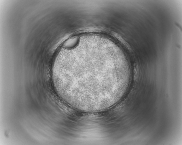 X0000101471213200808041057