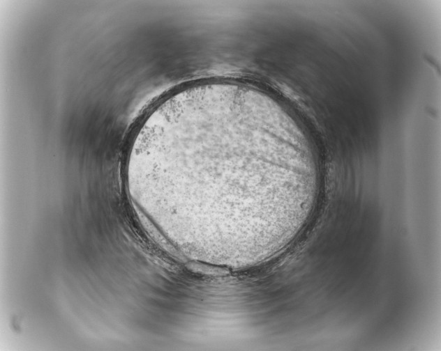 X0000101471214200808041057