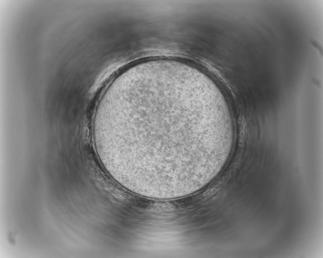 X0000101471215200808041057