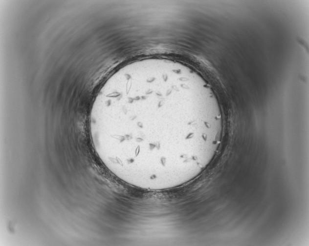 X0000101471217200808041057