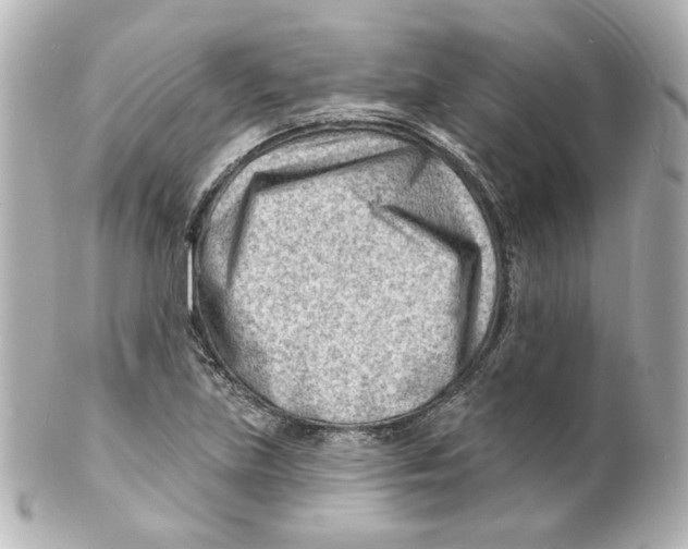 X0000101471219200808041057