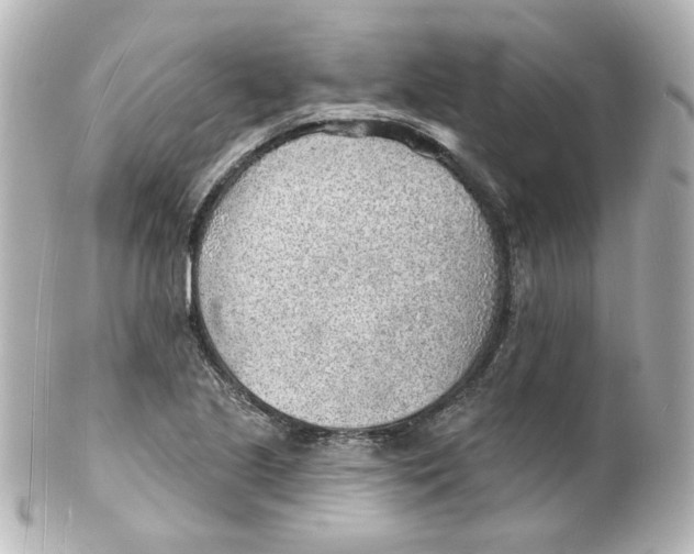 X0000101471221200808041057