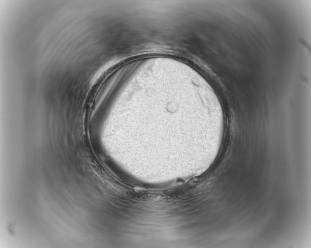 X0000101471222200808041057