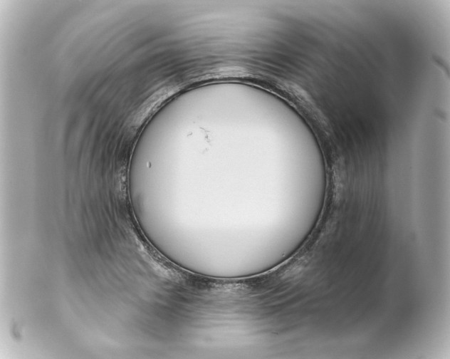 X0000101471225200808041057