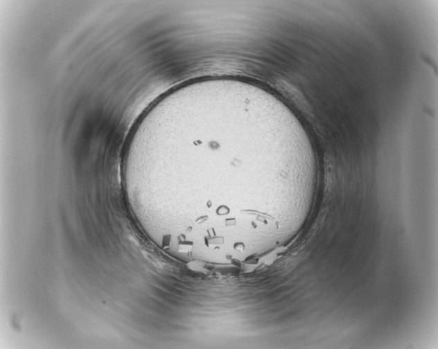 X0000101471226200808041057