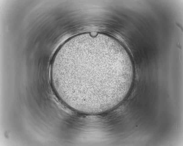 X0000101471227200808041057