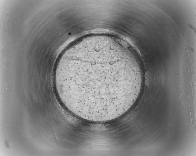 X0000101471229200808041057