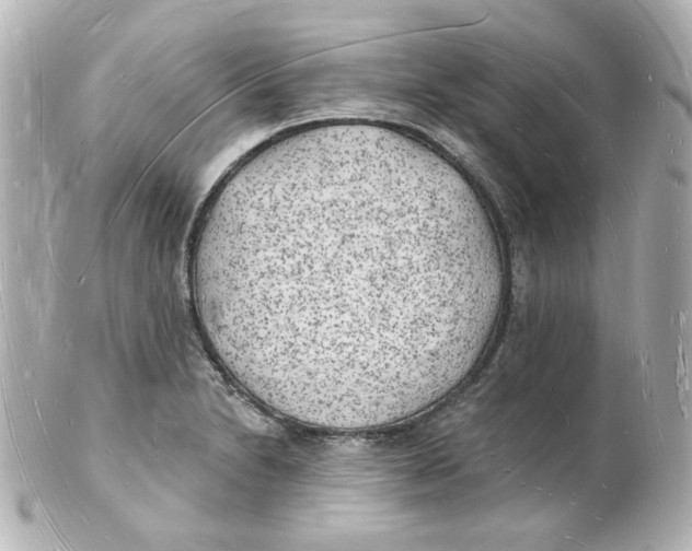 X0000101471230200808041057