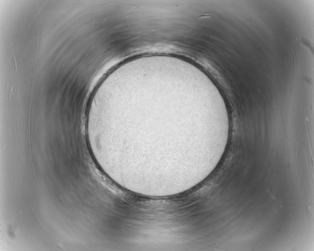 X0000101471232200808041057