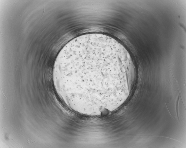 X0000101471233200808041057