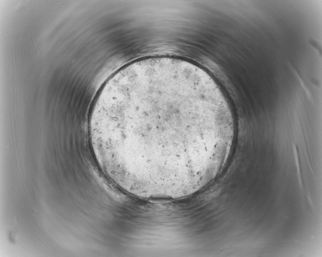 X0000101471234200808041057