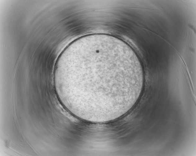 X0000101471236200808041057