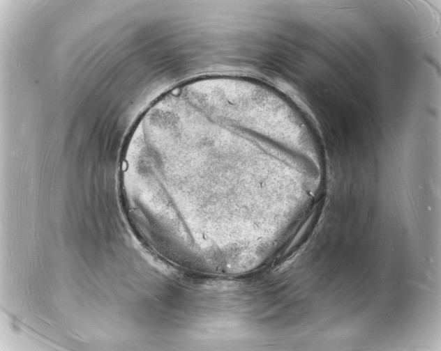 X0000101471237200808041057