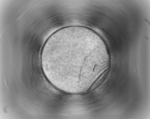 X0000101471238200808041057