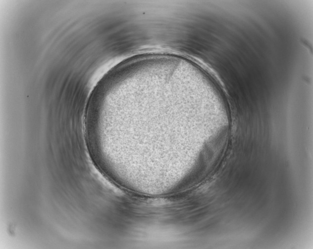 X0000101471239200808041057