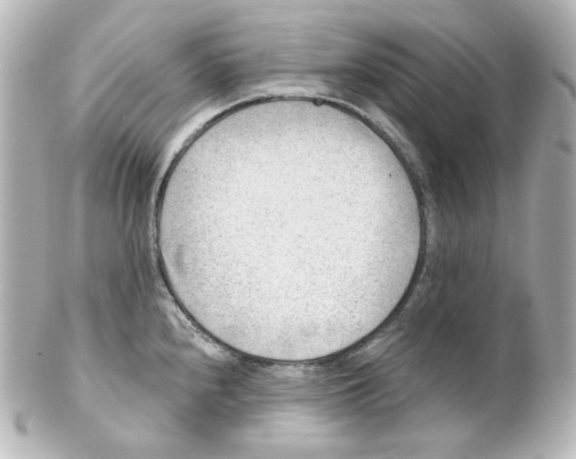 X0000101471240200808041057