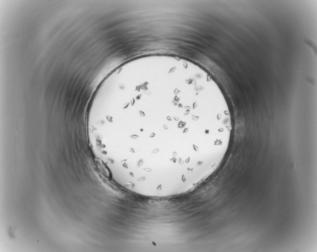 X0000101471242200808041057