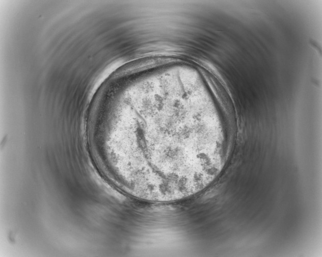 X0000101471243200808041057