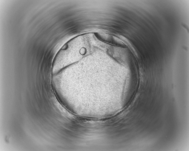 X0000101471244200808041057