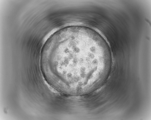 X0000101471245200808041058