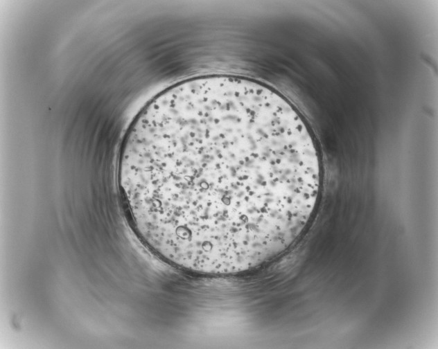 X0000101471246200808041058