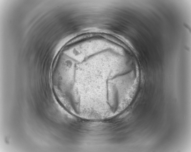 X0000101471247200808041058