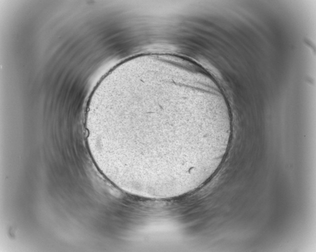 X0000101471248200808041058