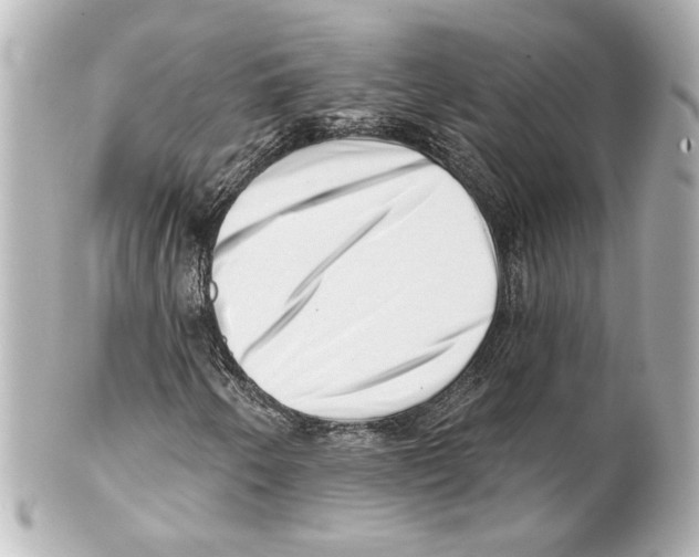 X0000101471250200808041057