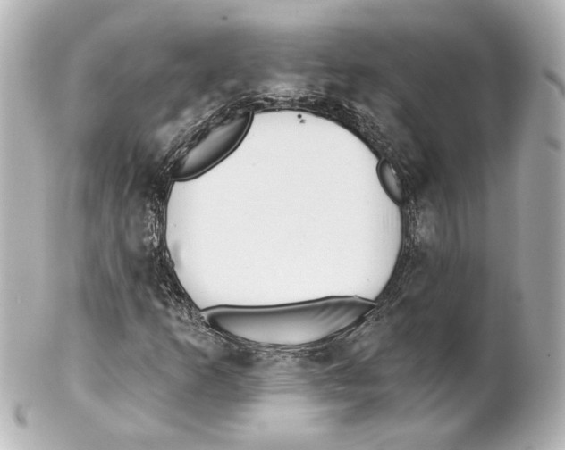 X0000101471253200808041057