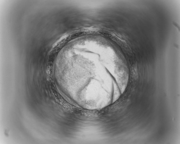 X0000101471254200808041057