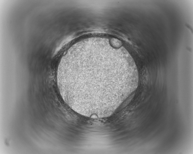 X0000101471255200808041057