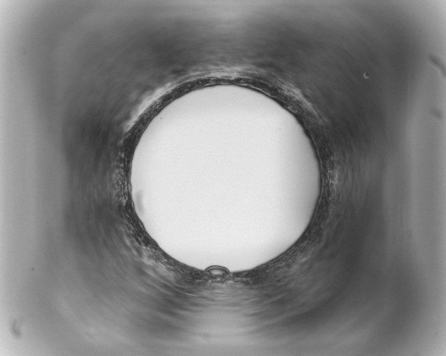 X0000101471256200808041057