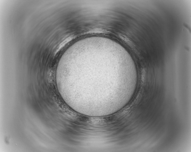 X0000101471258200808041057