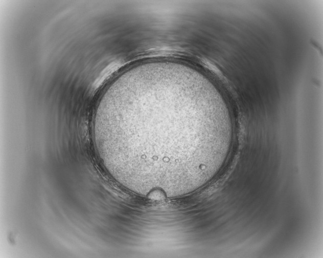 X0000101471259200808041057