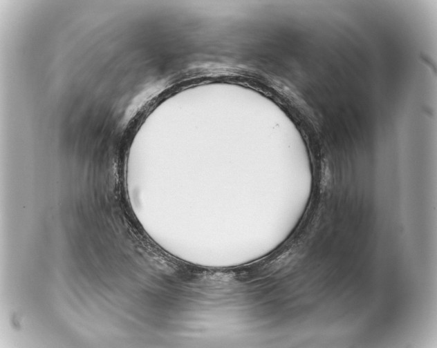 X0000101471261200808041057