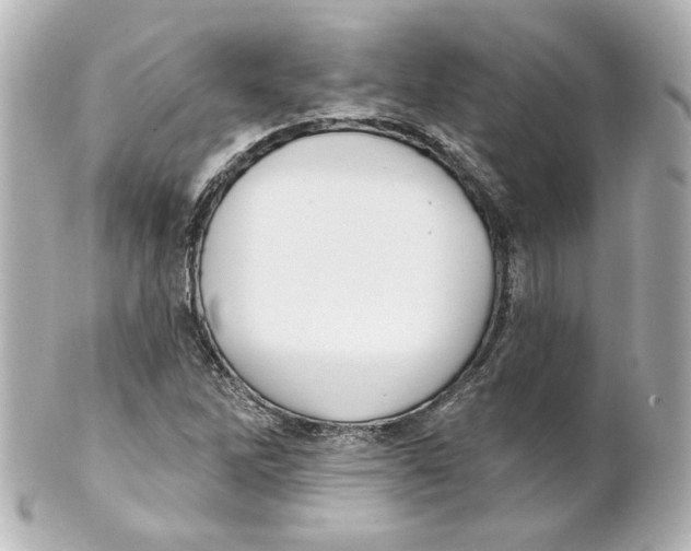 X0000101471262200808041057