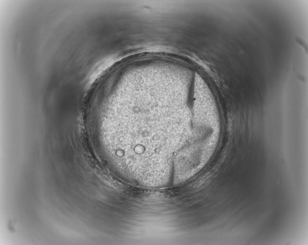 X0000101471263200808041057