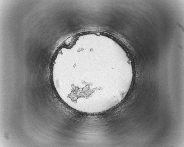 X0000101471264200808041056