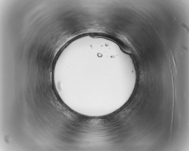 X0000101471268200808041056