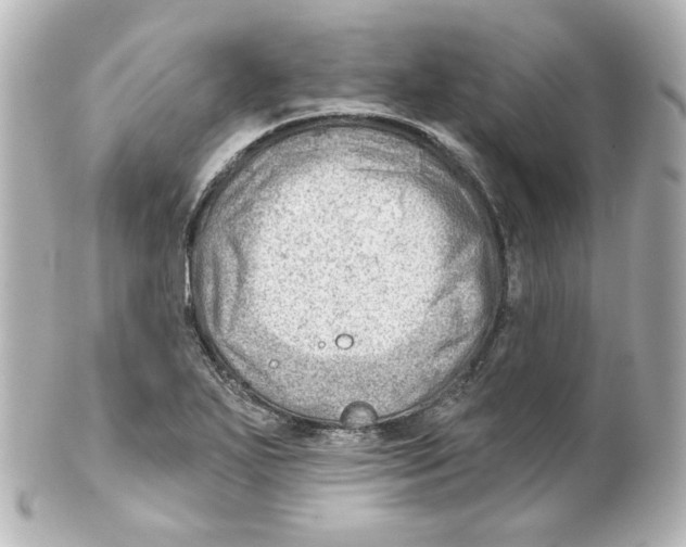 X0000101471271200808041056